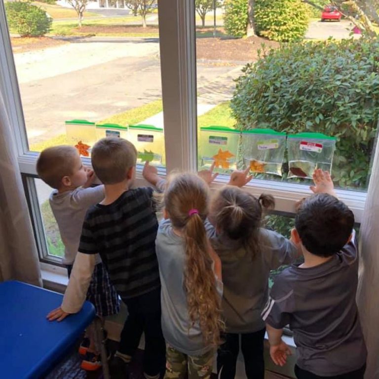 A group of children doing a sensory activity in front of a window
